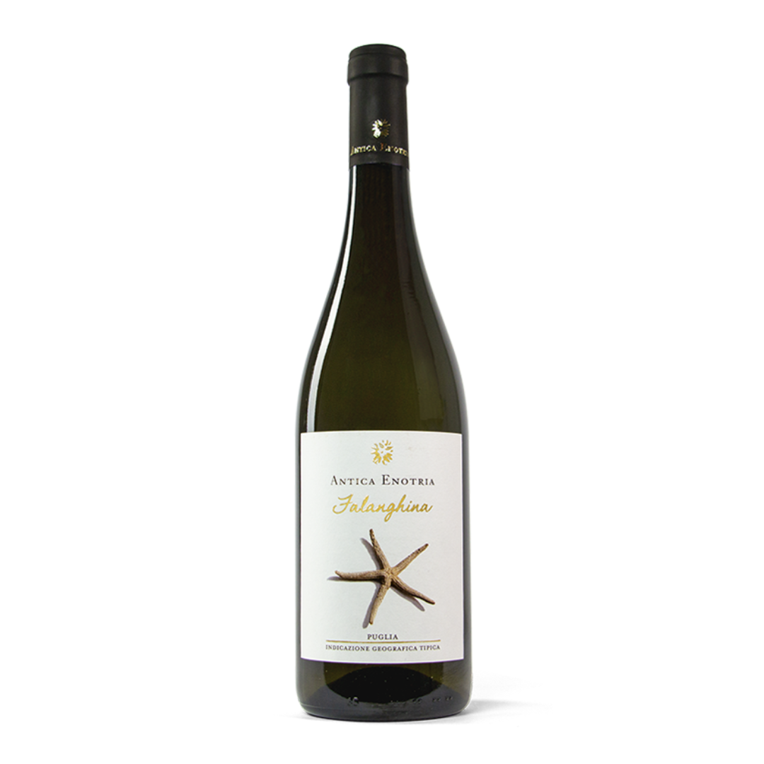 falanghina antica enotria