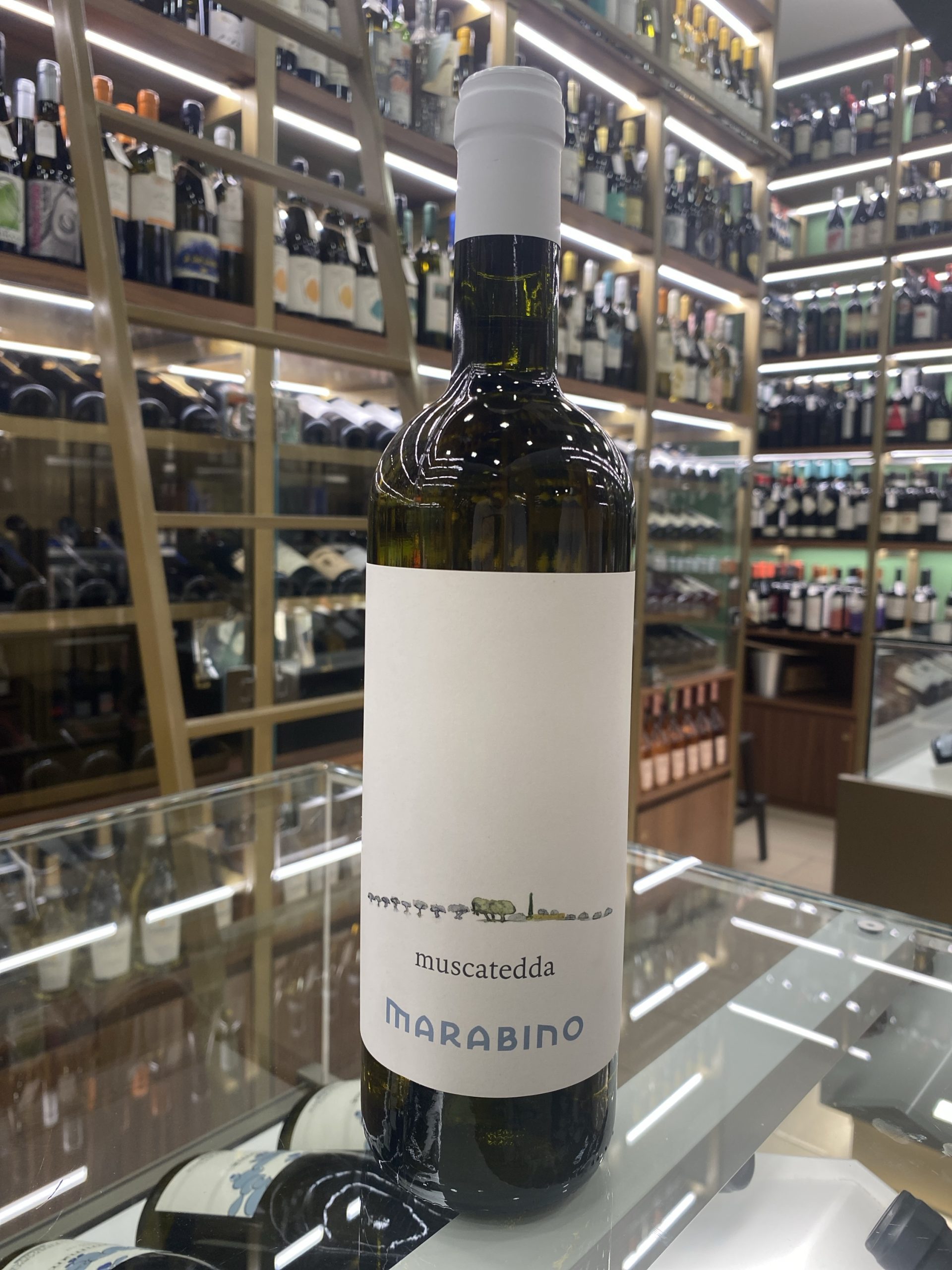 c22f2dd3-4806-401a-a945-2ee4941c0eed-4445-000003f41c4da081_file